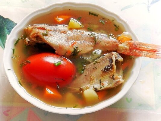 WARMLY DELISH: 4 Types of Fish to Cook Your Tasty Stews Types of Fish to Cook