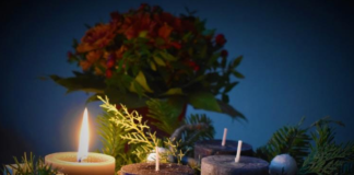 Ways To Commemorate a Green Diwali in 2020 Green Diwali