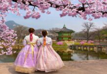 Best Places to Visit in South Korea South Korea