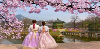 Best Places to Visit in South Korea South Korea