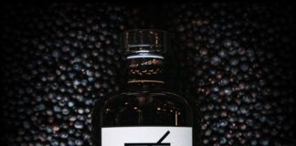 4 Amazing Ways in Which You Can Enjoy Your Gin flavoured gin