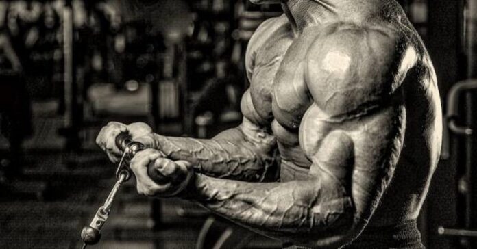 hypertrophy