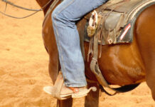 Cinch Jeans: A Long-Standing Yet Utmost Favourite Clothing Collection cinch jeans (3)