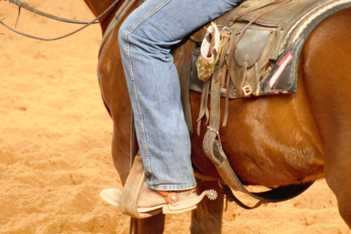 cinch jeans (3)