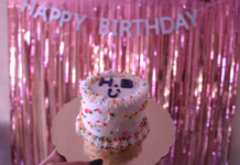 5 Best Places to Visit for Birthday Celebrations 5 Best Places to Visit for Birthday Celebrations