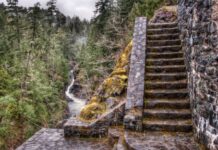 Top 5 Mysterious Staircases in the Woods mysterious staircases in woods