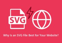 Why Is an SVG File Best for Your Website?