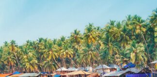Goa: The Nature’s Amazement