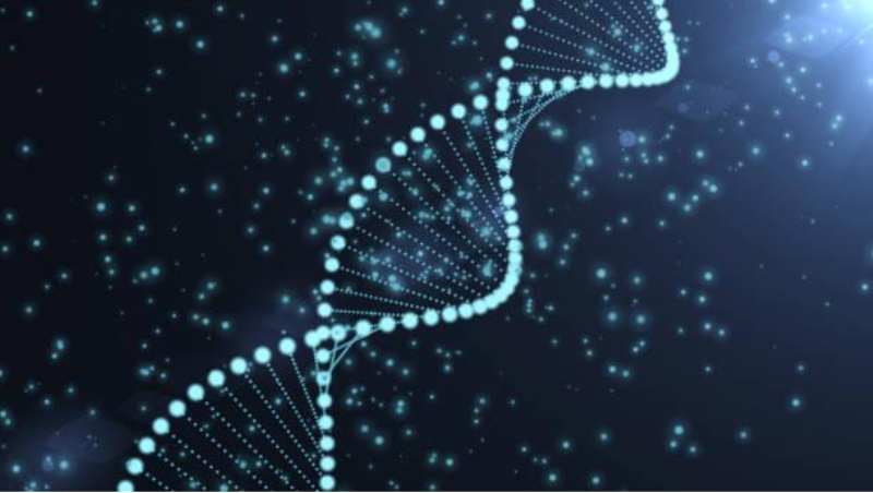 No Restrictions on the Nucleotide Size