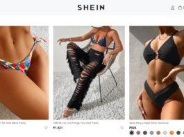 Shein Lingerie Review