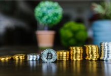 Two Ruling Cryptocurrencies: Bitcoin and Ethereum