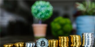 Two Ruling Cryptocurrencies: Bitcoin and Ethereum