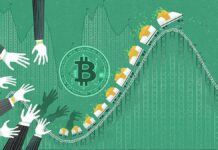 What Is the BTC Rally? What Is the BTC Rally