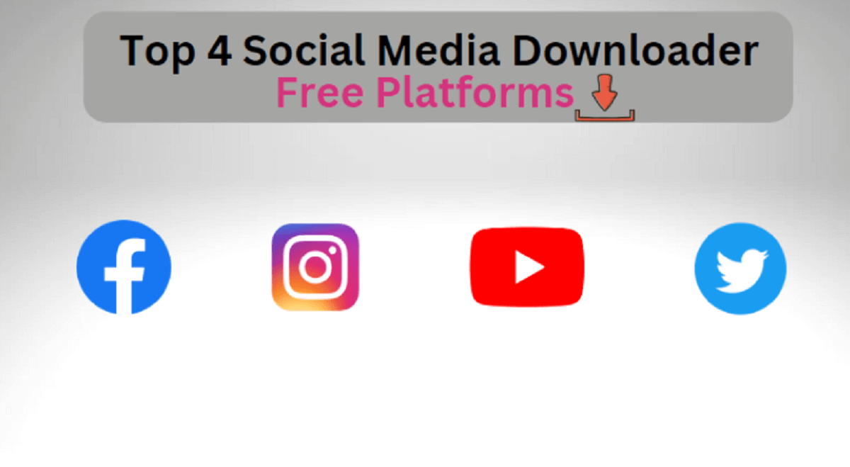 Top 4 Social Media Downloader Free Platforms