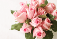 Creative Ideas for the Perfect Valentine’s Day Gift Creative Ideas for the Perfect Valentine's Day Gift