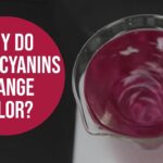 Why Does Anthocyanin Changes Food Color