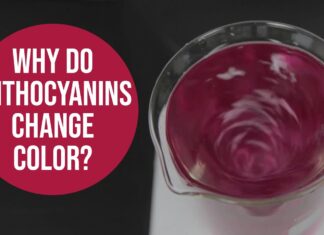 Why Does Anthocyanin Changes Food Color? Why Does Anthocyanin Changes Food Color