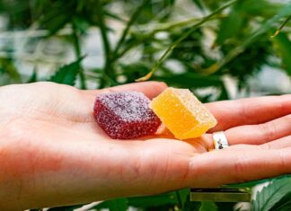 Exploring Culinary Creativity: Delta-8 Gummies in Recipes Exploring Culinary Creativity Delta-8 Gummies in Recipes