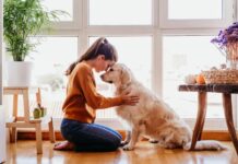 Pet Urns: Celebrating the Lives and Love of Our Beloved Companions Pet Urns Celebrating the Lives and Love of Our Beloved Companions