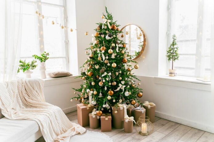 Gardener's Delight: Christmas Trees for the Green Thumbs