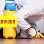 Pest Control Services: Your Defense Against Unwanted Intruders
