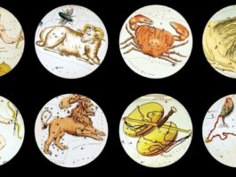 The 7 Zodiac Signs Symbolized by Animals What Each Means