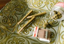 5 Myths About Weed to Know in 2023 5 Myths About Weed to Know in 2023