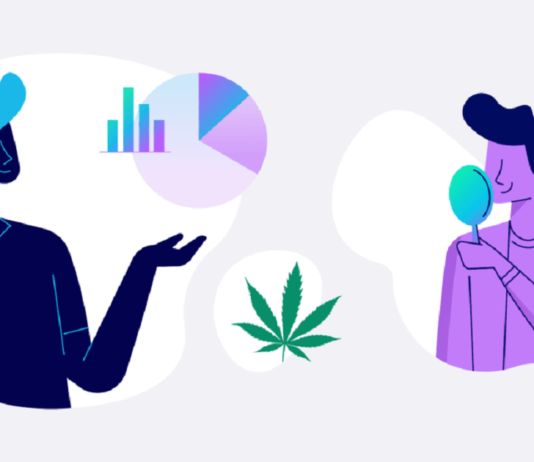 Risk Management in the Cannabis Industry: The Role of Insurance Risk Management in the Cannabis Industry
