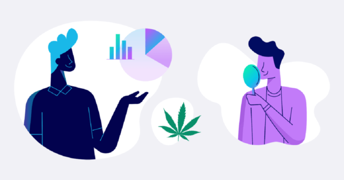 Risk Management in the Cannabis Industry