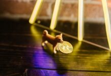 How Market Indices Reflect Economic and Market Conditions? How Market Indices Reflect Economic and Market Conditions