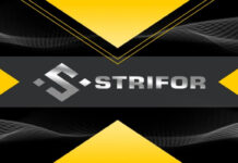 Strifor Broker Verification Process Explained Strifor Broker Verification Process Explained