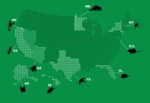 The Top Pests In The US That Can Really Make Your Home & Business Life Hell The Top Pests In The US That Can Really Make Your Home & Business Life Hell