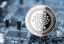 IOTA Insights: The Tangle and the Future of Cryptocurrencies IOTA Insights