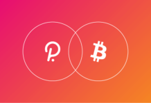 Connecting Multiple Blockchains: Bitcoin and Polkadot Connecting Multiple Blockchains Bitcoin and Polkadot