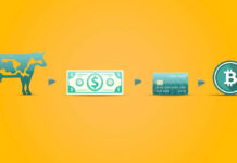 Top Bitcoin Investment Strategies for Long-Term Growth Top Bitcoin Investment Strategies for Long-Term Growth