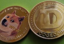The Rise of Dogecoin: Is It Worth Investing in the Meme Currency? The Rise of Dogecoin Is It Worth Investing in the Meme Currency