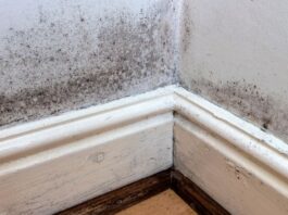 Why Small Black Dots Keep Appearing Along Your Skirting Boards