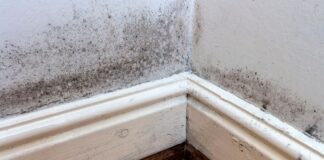 Why Small Black Dots Keep Appearing Along Your Skirting Boards
