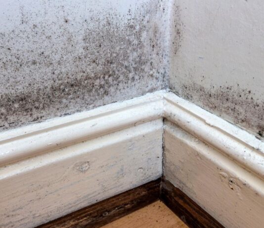 Why Small Black Dots Keep Appearing Along Your Skirting Boards